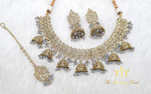 Load image into Gallery viewer, Veena